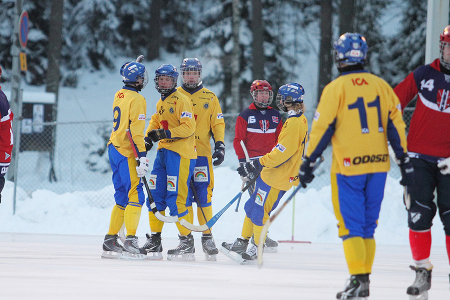 28.1.2012 - (Norja U19-Ruotsi U19)