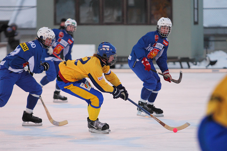 28.1.2012 - (Ruotsi U19-Suomi U19)