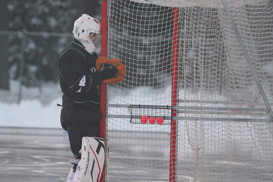 29.1.2012 - (Ruotsi U19-Venäjä U19)