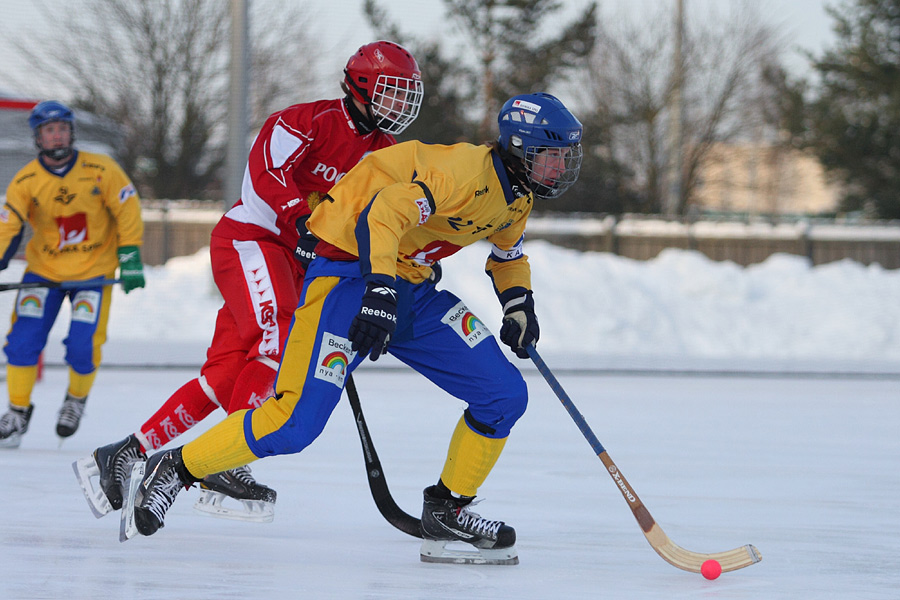 29.1.2012 - (Ruotsi U19-Venäjä U19)