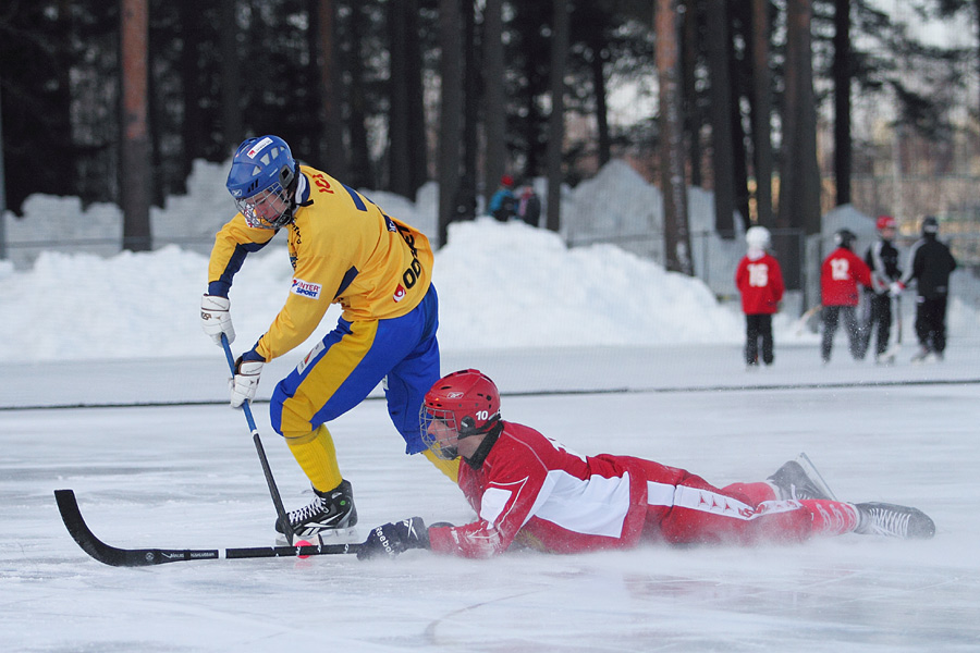 29.1.2012 - (Ruotsi U19-Venäjä U19)