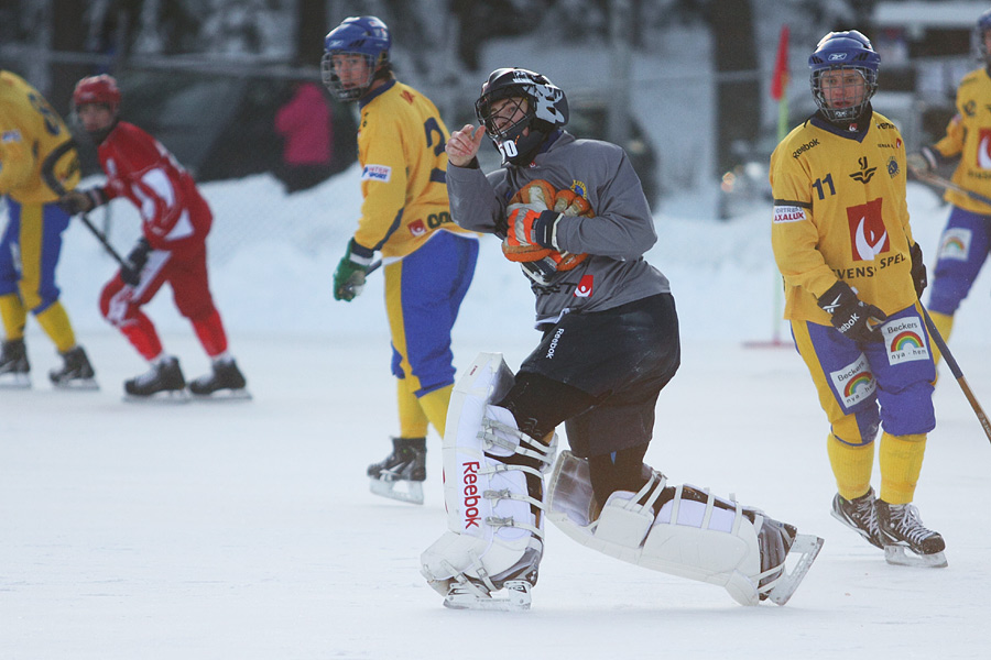 29.1.2012 - (Ruotsi U19-Venäjä U19)