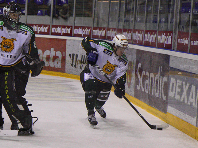 23.3.2010 - (Lukko A-Ilves A)