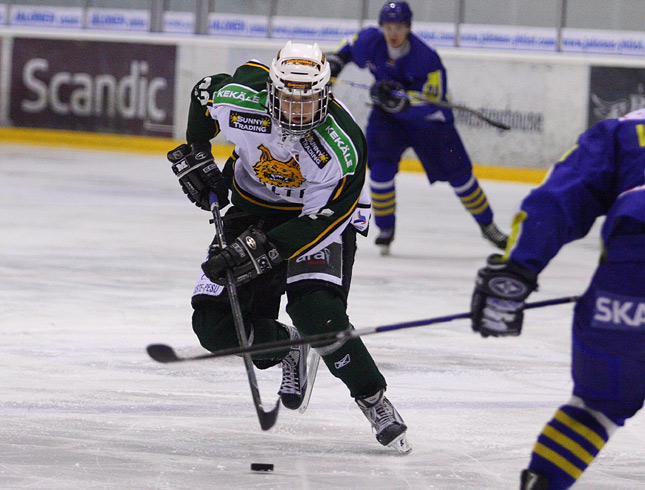 23.3.2010 - (Lukko A-Ilves A)