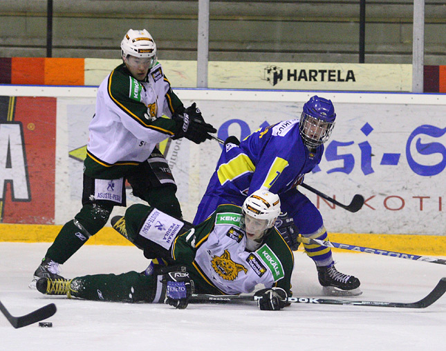 23.3.2010 - (Lukko A-Ilves A)