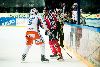 13.10.2012 - (Tappara-Ässät) kuva: 6