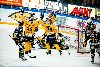 16.10.2012 - (Ilves-Lukko) kuva: 5