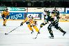 16.10.2012 - (Ilves-Lukko) kuva: 9