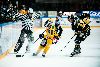 16.10.2012 - (Ilves-Lukko) kuva: 15