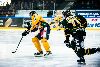 16.10.2012 - (Ilves-Lukko) kuva: 18