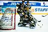 16.10.2012 - (Ilves-Lukko) kuva: 21