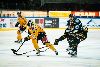 16.10.2012 - (Ilves-Lukko) kuva: 24