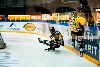 2.10.2012 - (Ilves-SaiPa) kuva: 5