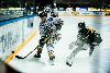 4.10.2012 - (Ilves-Kärpät) kuva: 7