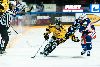 1.11.2012 - (Tappara-KalPa) kuva: 14