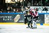 16.11.2012 - (Ilves-Ässät) kuva: 11