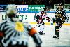 16.11.2012 - (Ilves-Ässät) kuva: 16