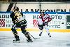 16.11.2012 - (Ilves-Ässät) kuva: 18