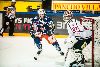 20.11.2012 - (Tappara-HIFK) kuva: 8