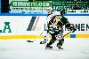 22.11.2012 - (Ilves-TPS) kuva: 5