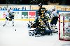 3.11.2012 - (Ilves-Blues) kuva: 13