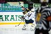 3.11.2012 - (Ilves-Blues) kuva: 16