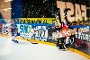 28.9.2012 - (Tappara-Ilves) kuva: 13