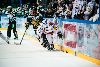 28.9.2012 - (Tappara-Ilves) kuva: 16