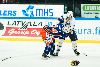 11.1.2013 - (Tappara-Blues) kuva: 20