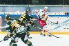 15.1.2013 - (Ilves-Jokerit) kuva: 8