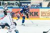 22.1.2013 - (Tappara-HIFK) kuva: 8