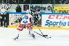 24.1.2013 - (Ilves-Tappara) kuva: 15