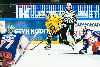 8.1.2013 - (Tappara-SaiPa) kuva: 6