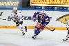 16.10.2013 - (Tappara-Blues) kuva: 41