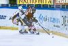 19.10.2013 - (Tappara-HIFK) kuva: 17