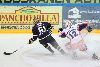 5.10.2013 - (Tappara-Blues) kuva: 8