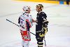 5.10.2013 - (Tappara-Blues) kuva: 64