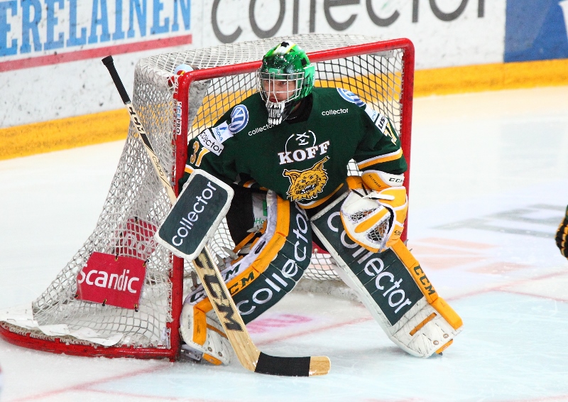 15.11.2013 - (Ilves-Tappara)