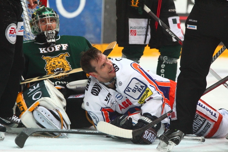 15.11.2013 - (Ilves-Tappara)