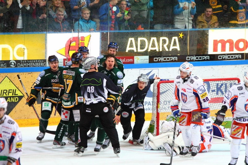 15.11.2013 - (Ilves-Tappara)