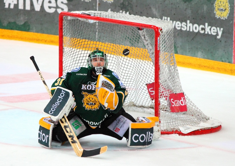 15.11.2013 - (Ilves-Tappara)