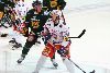 15.11.2013 - (Ilves-Tappara) kuva: 8