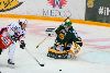 15.11.2013 - (Ilves-Tappara) kuva: 24