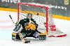 15.11.2013 - (Ilves-Tappara) kuva: 31