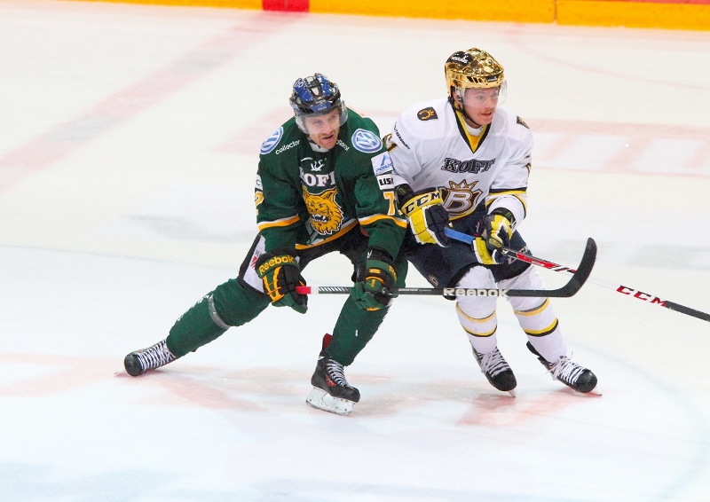 21.11.2013 - (Ilves-Blues)