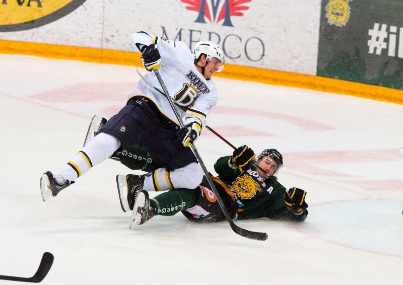 21.11.2013 - (Ilves-Blues)