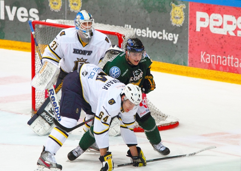 21.11.2013 - (Ilves-Blues)