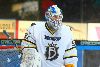 21.11.2013 - (Ilves-Blues) kuva: 7