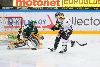 21.11.2013 - (Ilves-Blues) kuva: 11