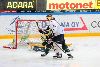 21.11.2013 - (Ilves-Blues) kuva: 12